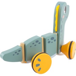 1582 A TRAINER : DINO RIGOLO