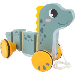 1582 A TRAINER : DINO RIGOLO