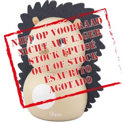 MONEY BOX: HEDGEHOG...